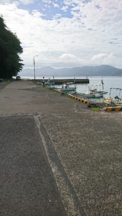 カマス真っ昼間に爆釣