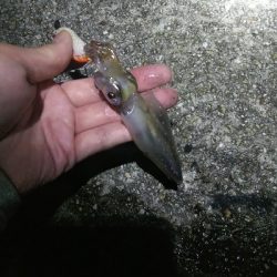 つ抜けに一歩及ばず