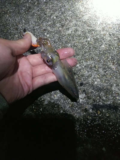 つ抜けに一歩及ばず