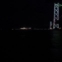 ケンサキイカ、はじまりました