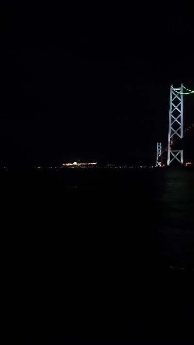 ケンサキイカ、はじまりました