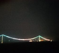 南風のケンサキ調査