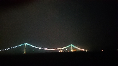 南風のケンサキ調査