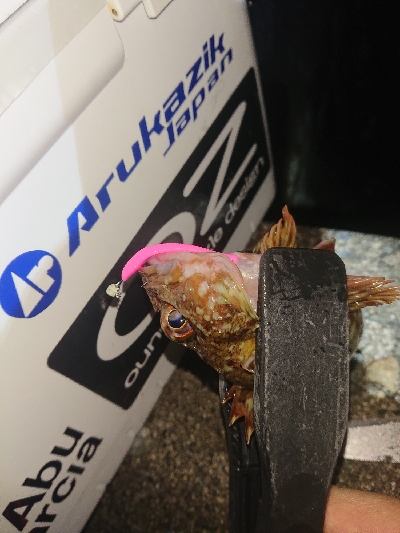 どんどん渋くなる