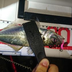 厳しくなってきました。