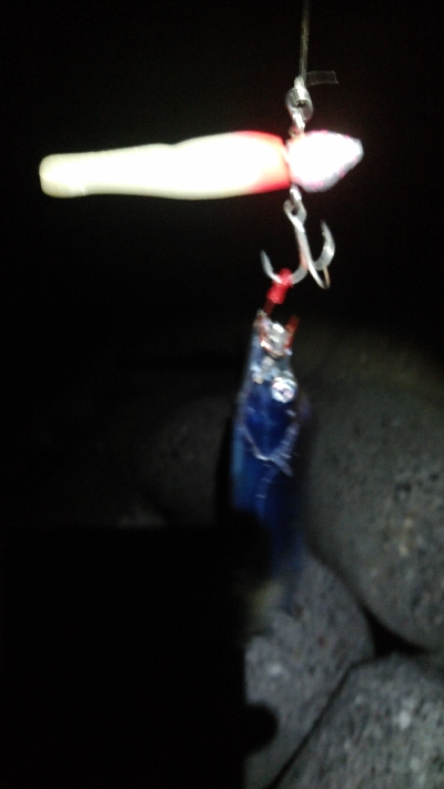 大阪湾タチウオ開幕