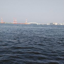 早朝コスモスクエア