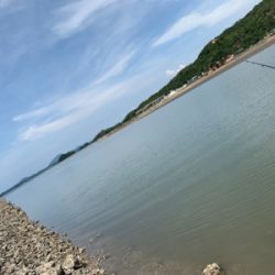 なんとかギリ歳無し