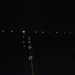 初めてのオモリグ挑戦