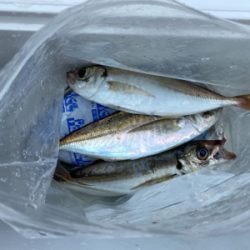 貸し切りデイアジング