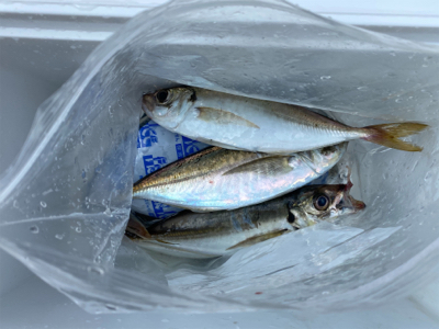 貸し切りデイアジング