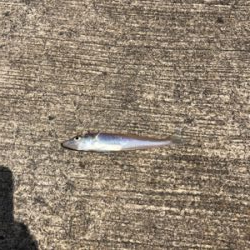 ちょい投げキス