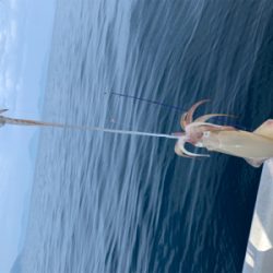 マイボートでデイイカメタルゲーム