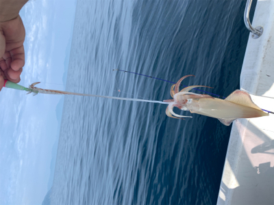 マイボートでデイイカメタルゲーム