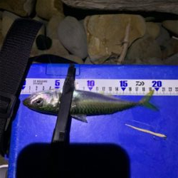 梅雨明けフロート