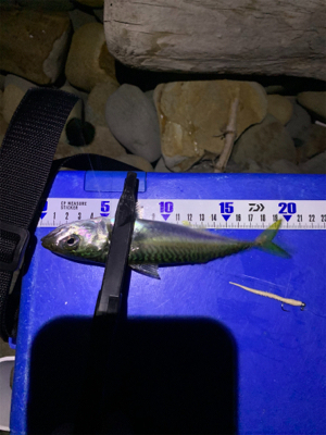 梅雨明けフロート