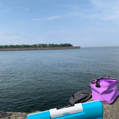 泉大津ジグサビキ朝練