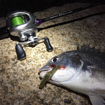 淀川ブリームゲーム