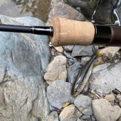 カワムツをスプーンで釣る