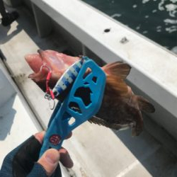 ヒトツテンヤ＆マイクロジギング