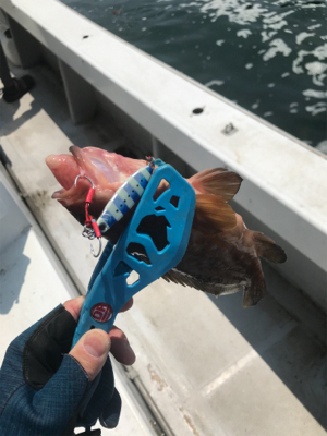 ヒトツテンヤ＆マイクロジギング