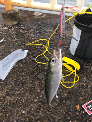 条件は整いました...。