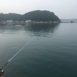 カンパチでリフレッシュ!