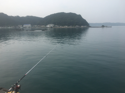 カンパチでリフレッシュ!