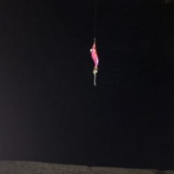 リベンジケンサキ