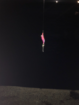 リベンジケンサキ