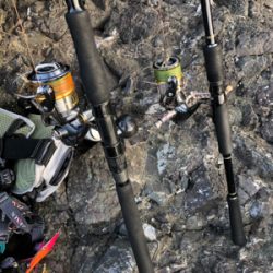 灼熱　青物修行