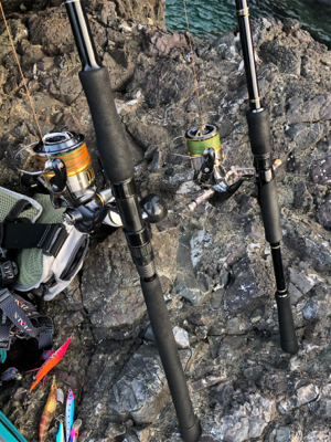 灼熱　青物修行