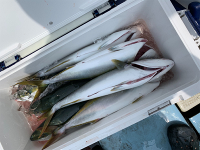 明石沖ジギング