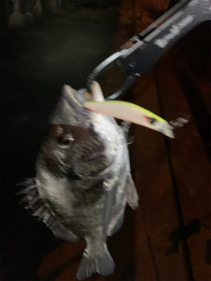 ナイトチニング