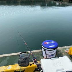 紀州釣りでチヌ