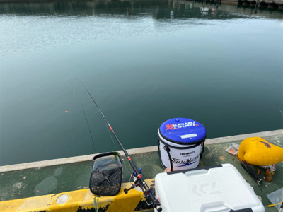 紀州釣りでチヌ