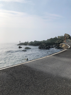 夜はアジング、朝はショアジギング