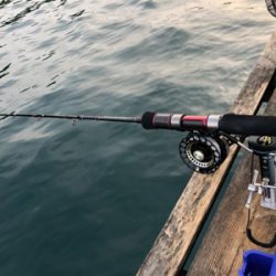 久しぶりの爆釣