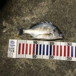 水温たかすぎ！