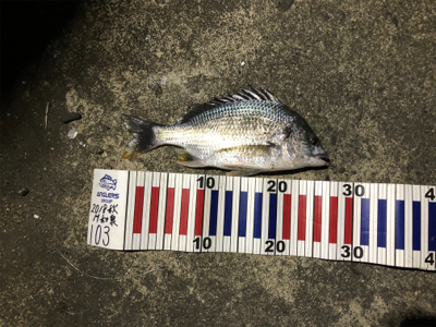 水温たかすぎ！