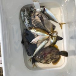 テトラでフカセ釣り