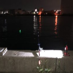 久々の投げ釣りとサビキ