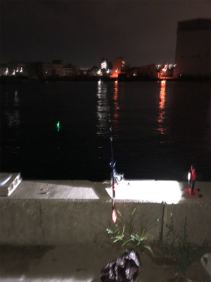 久々の投げ釣りとサビキ