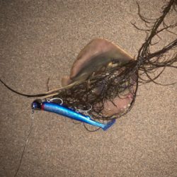 連休初日から混んでます