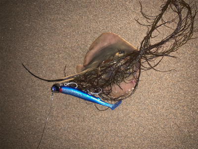 連休初日から混んでます