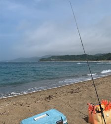 夏イカ気持ちええ