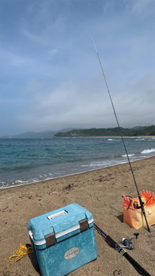 夏イカ気持ちええ