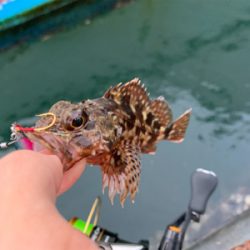 マイクロ岸ジギ