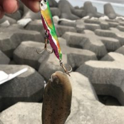 激渋サーフワームで攻略