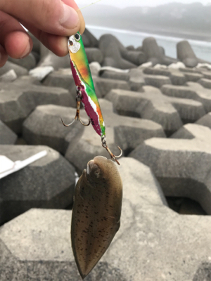 激渋サーフワームで攻略